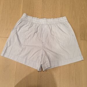 Aerie Blue Pinstripe Shorts